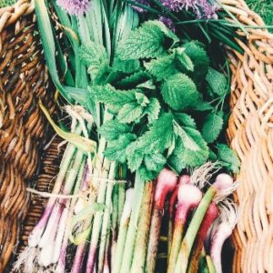 herbs and alliums in basket